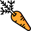 Carrot icon 64x64