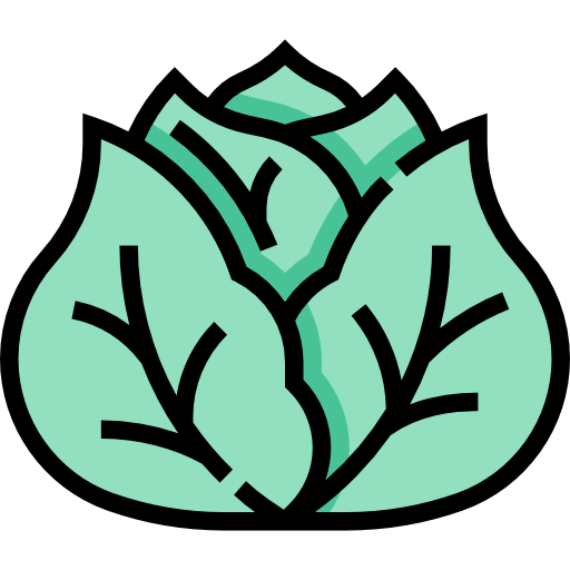 Cabbage icon