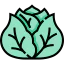 Cabbage icon 64x64