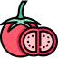 Tomato icon 64x64