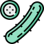 Cucumber icon 64x64