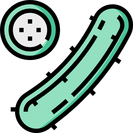 Cucumber icon