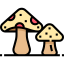Mushroom icon 64x64