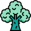 Broccoli icon 64x64