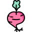 Radish icon 64x64