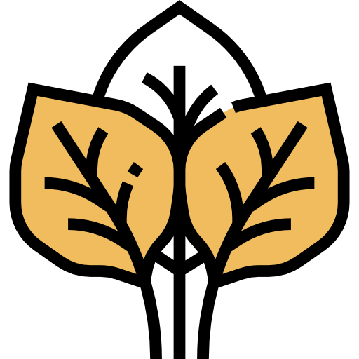 Spinach icon