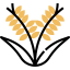 Rice icon 64x64
