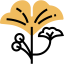 Ginkgo icon 64x64