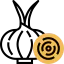 Onion icon 64x64