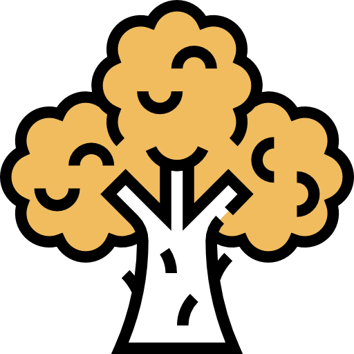 Broccoli icon