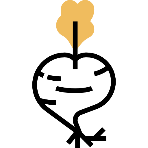 Radish icon