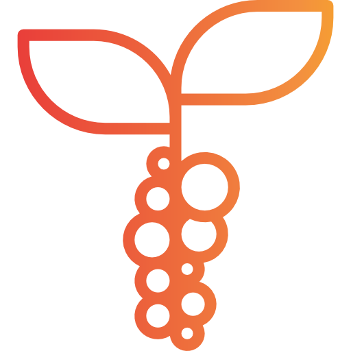 Coffee beans icon