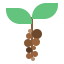 Coffee beans icon 64x64