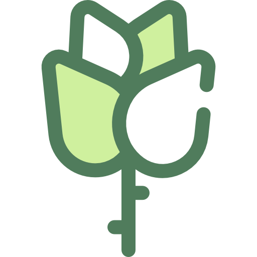 Rose icon