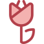 Tulip icon 64x64