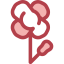 Poppy icon 64x64