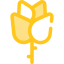 Rose icon 64x64