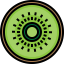 Kiwi icon 64x64