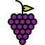 Grapes icon 64x64