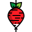 Radish icon 64x64