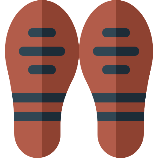 Foot icon