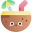 Coconut icon 64x64