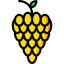 Grapes icon 64x64