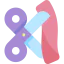 Inauguration icon 64x64