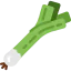 Onion icon 64x64