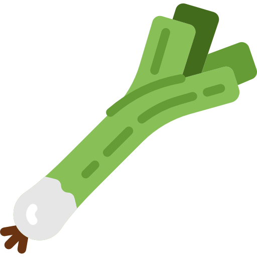 Onion icon