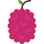 Raspberry 상 64x64