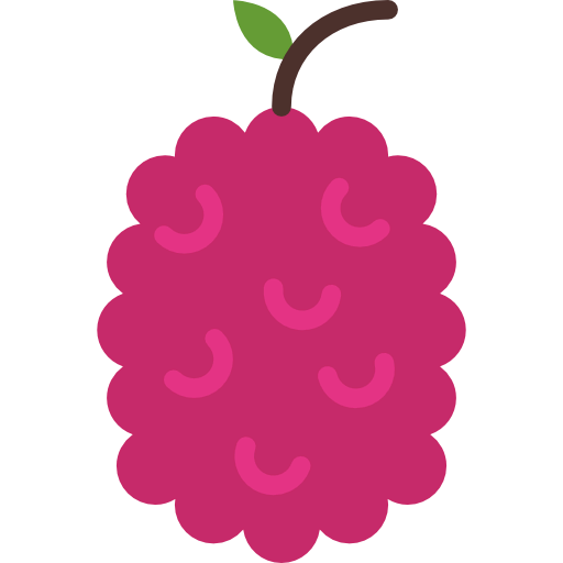 Raspberry icon