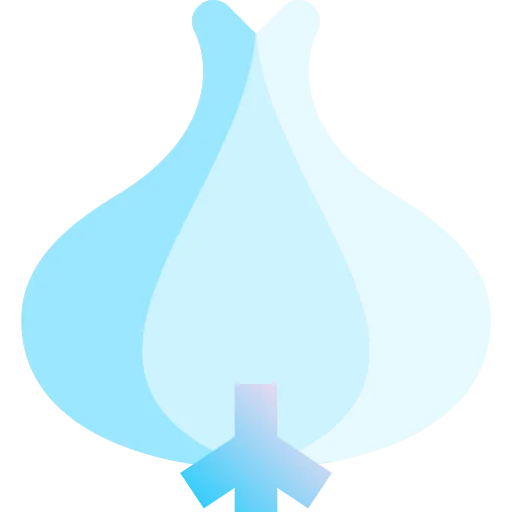 Garlic icon