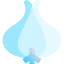 Garlic icon 64x64