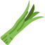 Onion icon 64x64