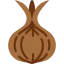 Onion icon 64x64