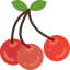 Cherries icon 64x64