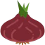 Shallot icon 64x64