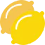 Lemon icon 64x64