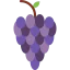 Grapes icon 64x64