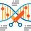 Dna Ikona 64x64