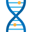 Dna Ikona 64x64