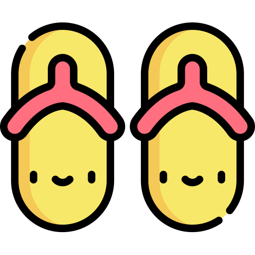 Flip flops icon