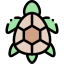 Turtle Ikona 64x64