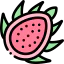 Dragon fruit Ikona 64x64