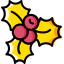 Mistletoe icon 64x64