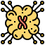 Neuroimaging icon 64x64