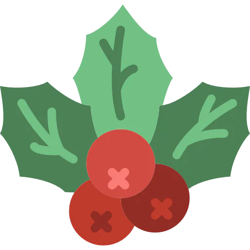 Mistletoe icon