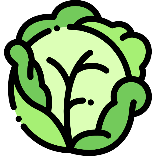 Cabbage icon