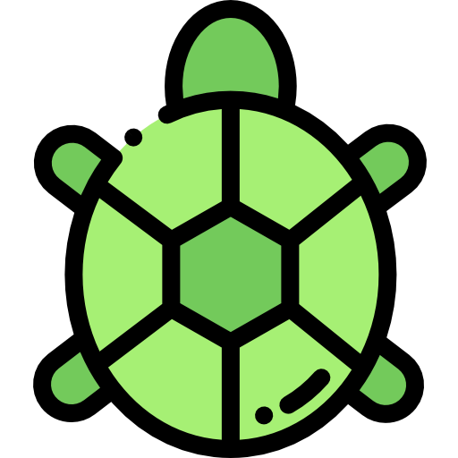 Turtle icon